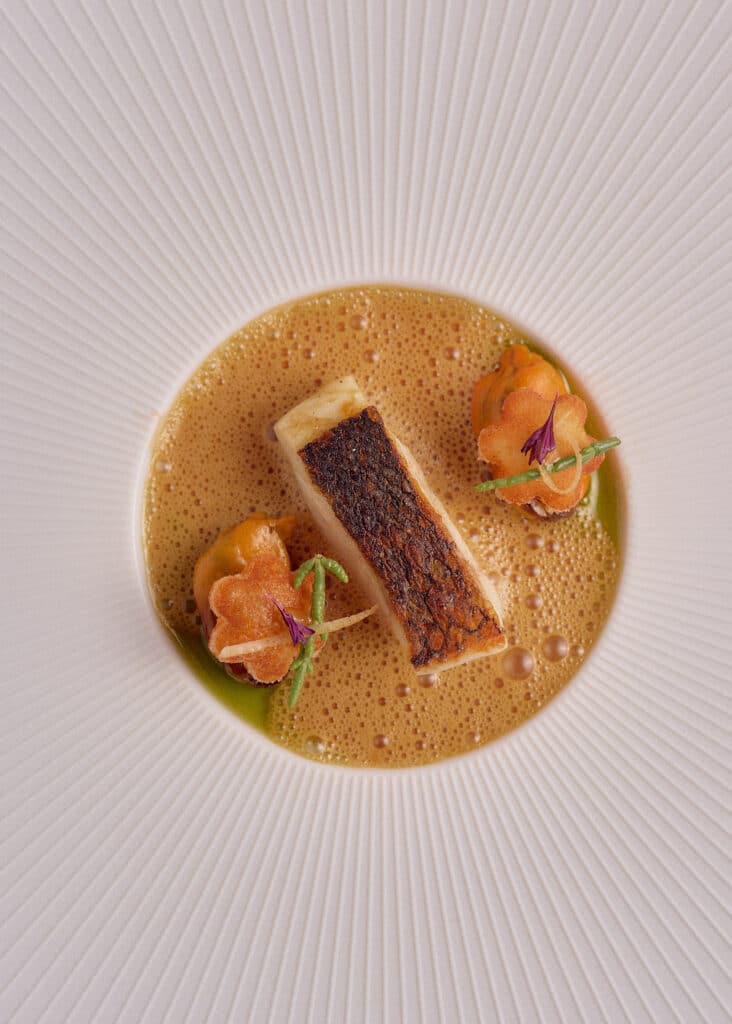 Wolfsbarsch | Muschel